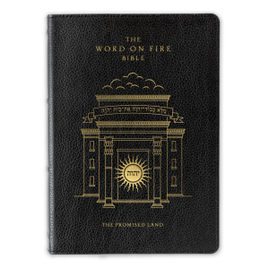 The Word on Fire Bible (Volume IV): The Promised Land - Skinn